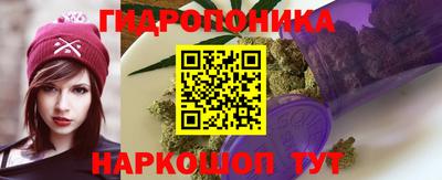 прущие крисы Волжский