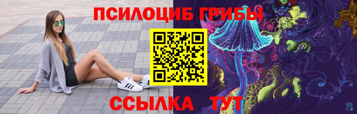Псилоцибиновые грибы Cubensis  Вход с VPN  цены   Избербаш  Галлюциногенные грибы Cubensis 